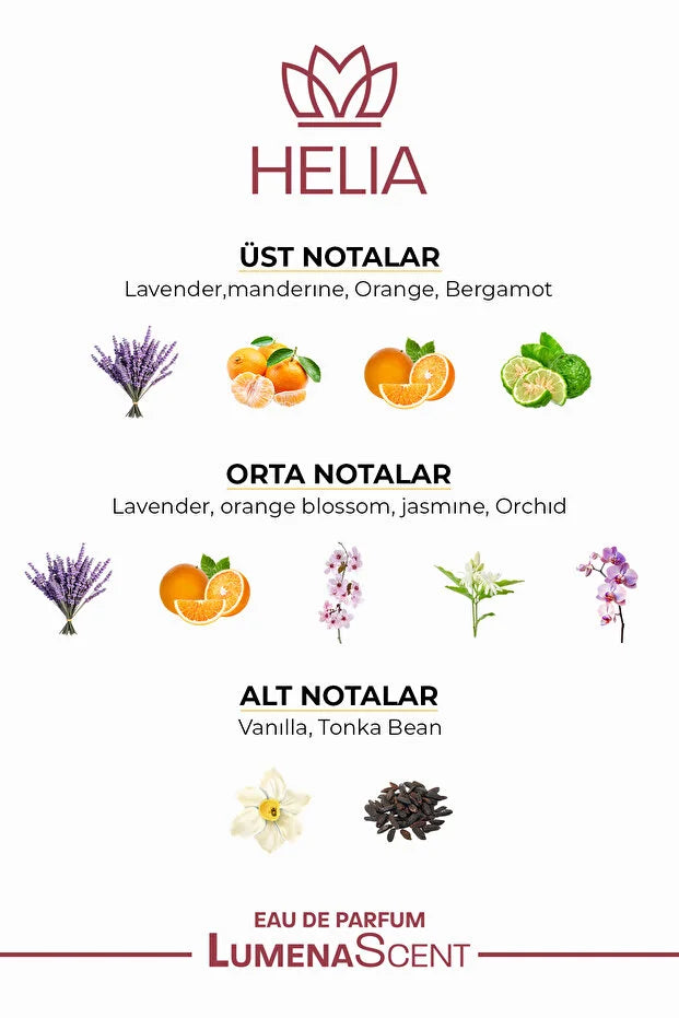 LumenaScent Helia Lavender Bloom Eau de Parfum Damesparfum 100 ml – Lavendel, Jasmijn & Vanille