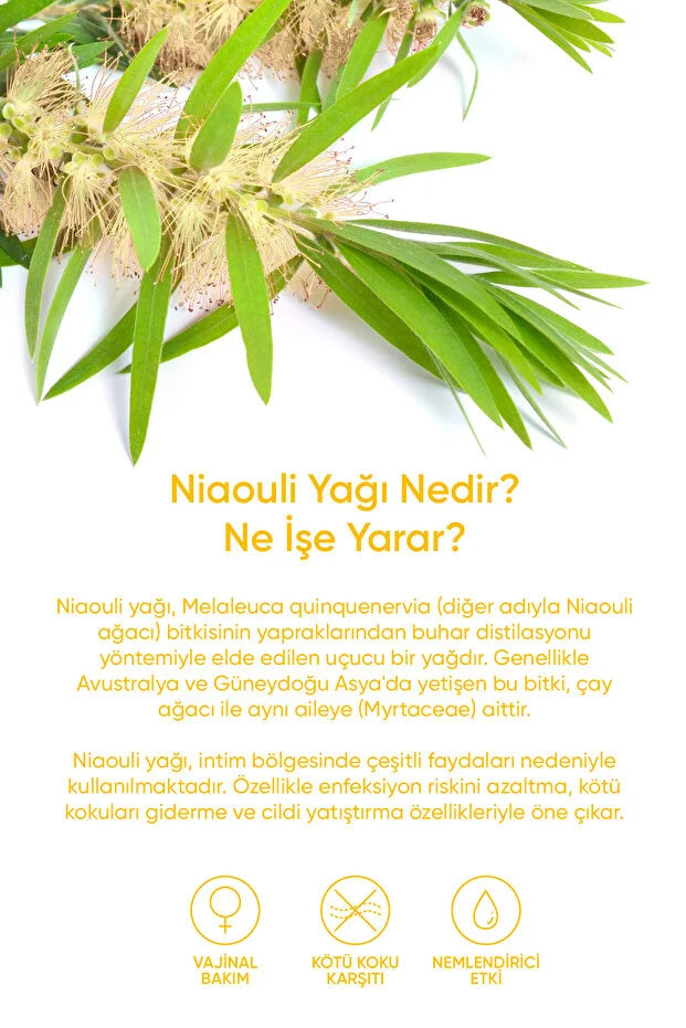 BK Company Niaouli Olie 10 ml – 100% Pure Essentiële Olie – Voor Aromatherapie, Huid & Haarverzorging