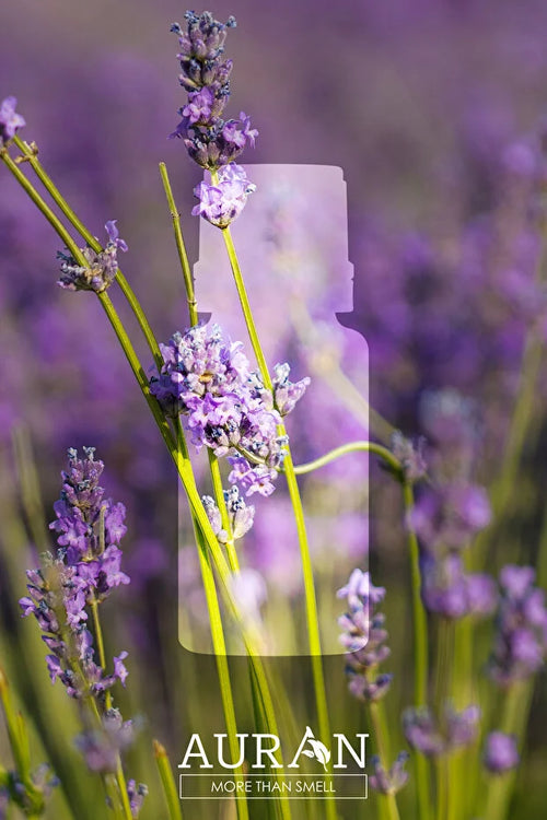 Auran Lavendel Esansiyel Olie – 10 ml