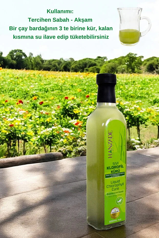 Hanzade Bitkisel Vloeibare Chlorofylkuur 500 ml – Met Tarwegras & Spirulina