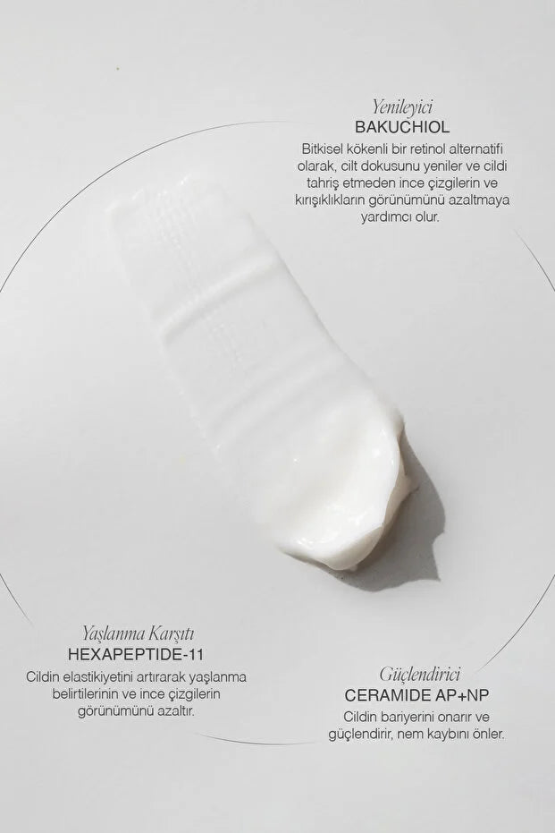 The Skin Edition Bakuchiol Night Cream 50 ml