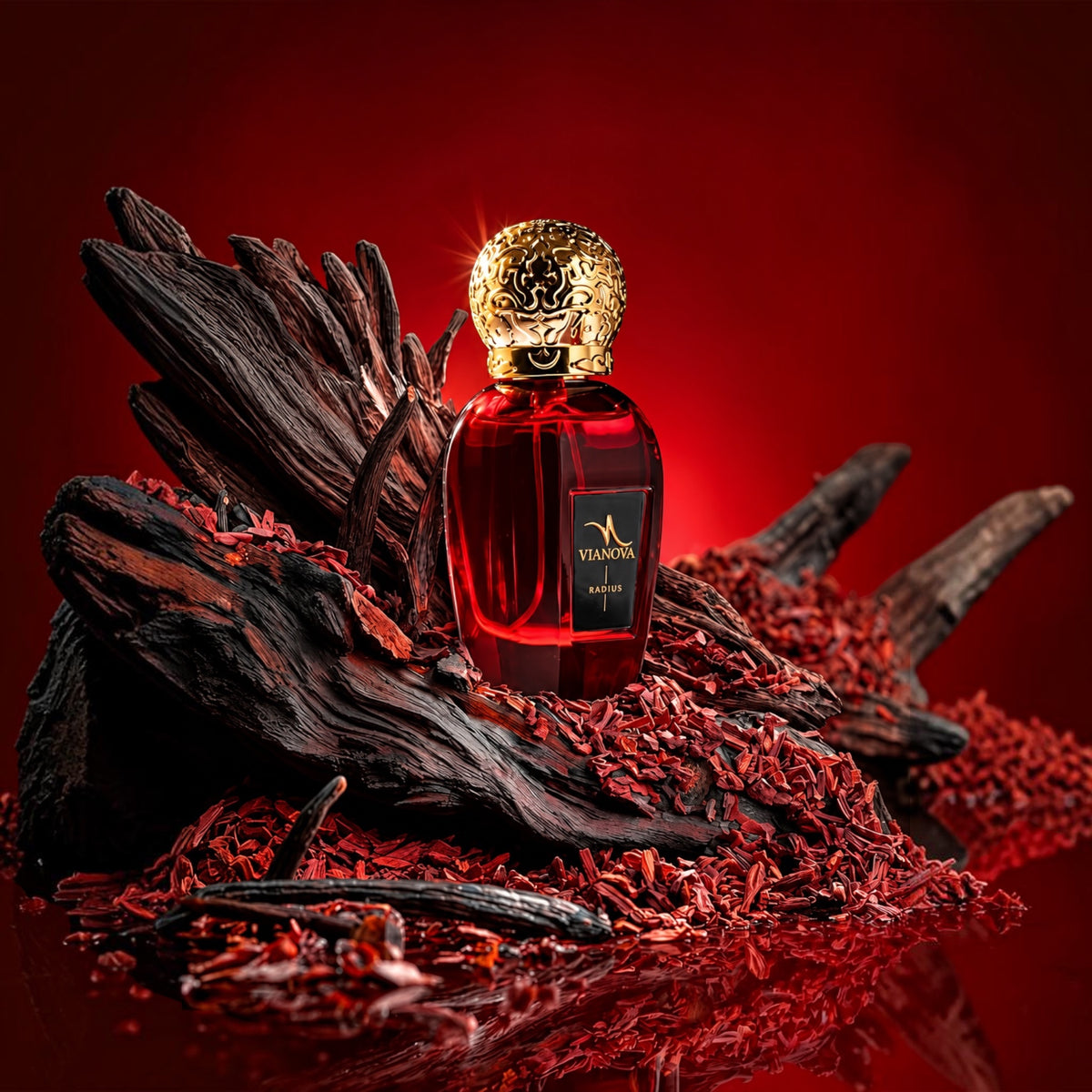 Vianova Radius Extrait de Parfum – Warm & Intens Parfum – Koffie, Amandel, Vanille & Amber – 50 ml