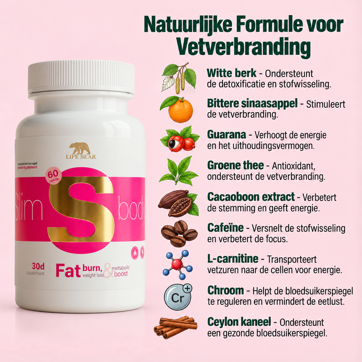 The Green Bear Slim Body – L-Carnitine, Groene Thee, Guarana & Chroom – 60 Capsules – 30 Dagen